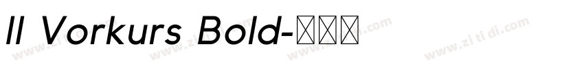 II Vorkurs Bold字体转换 II Vorkurs Bold字体转换